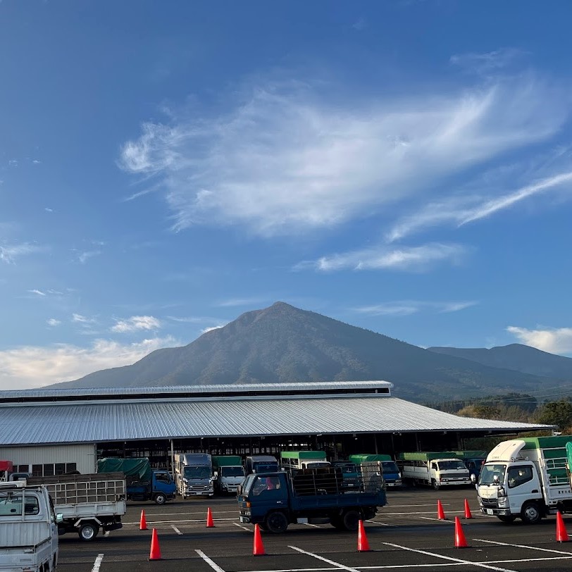 小林地域家畜市場